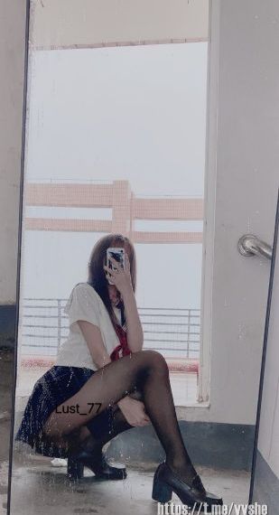枫与铃免费