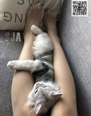 娃娃脸1中文