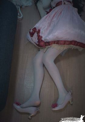 小侠龙旋风全集免费观看