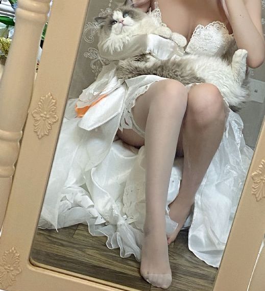 猎罪图鉴第二季全集免费观看
