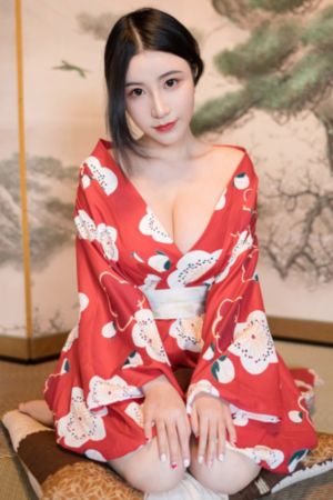 大陆理论片