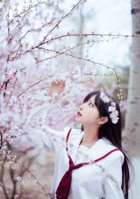艳母动漫日本